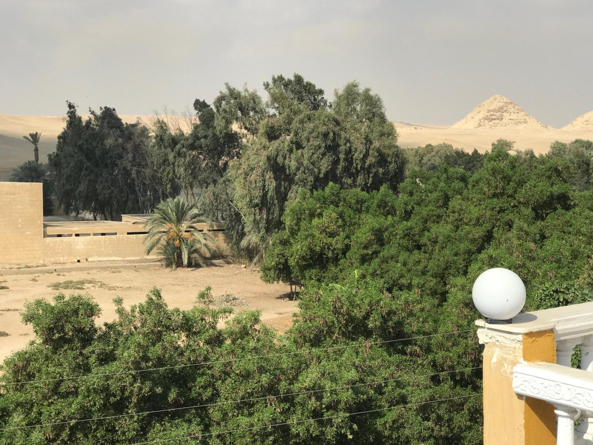 Sakkara Pensión