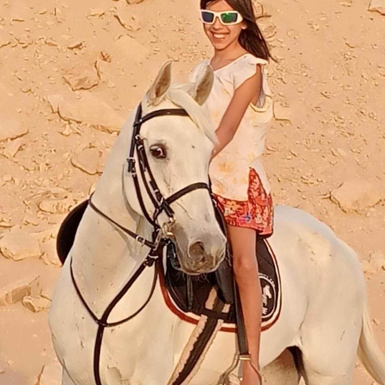 Sakkara El Hawamdeya