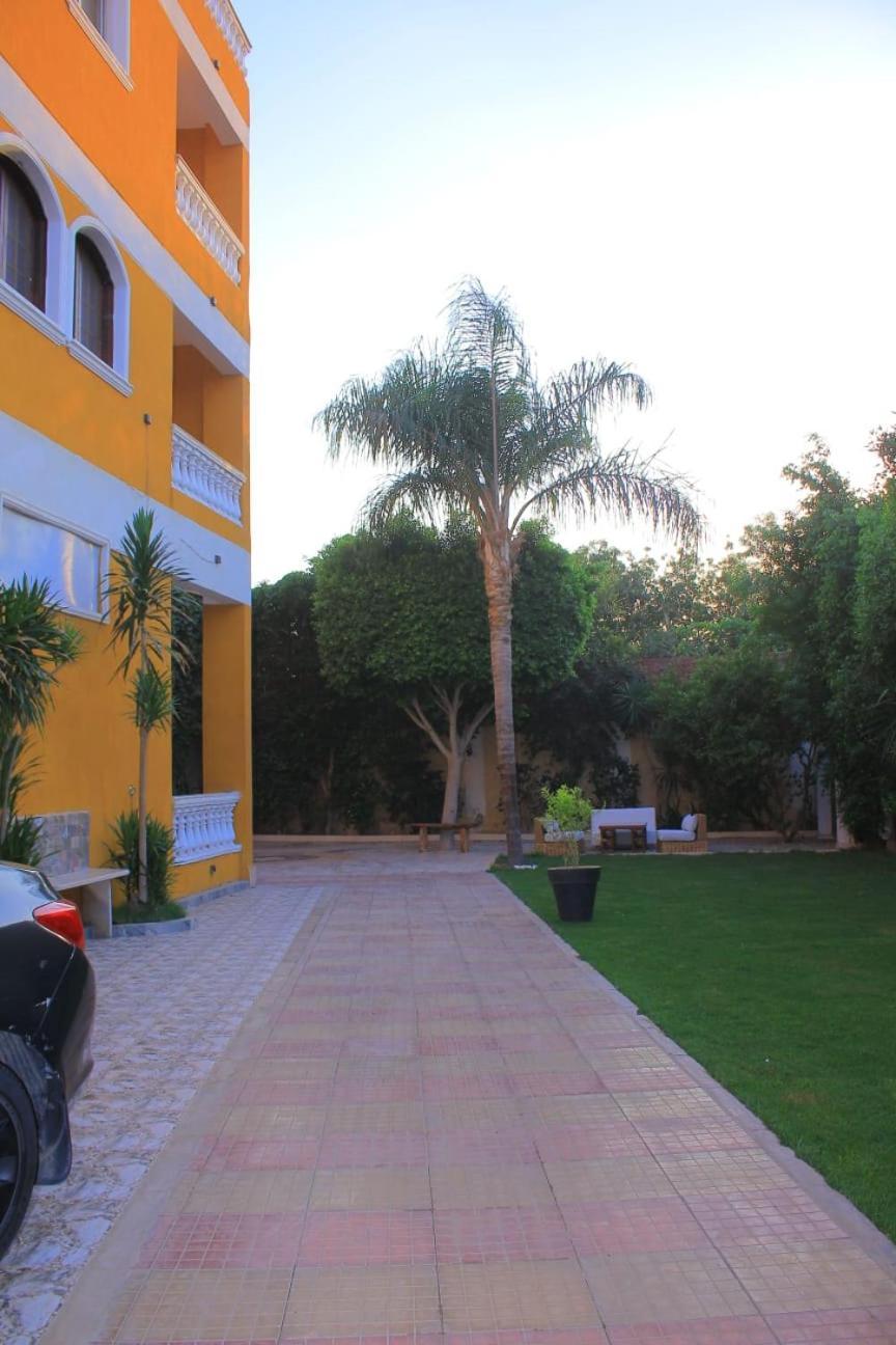 Sakkara 3*